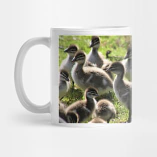 A dozen ducklings Mug